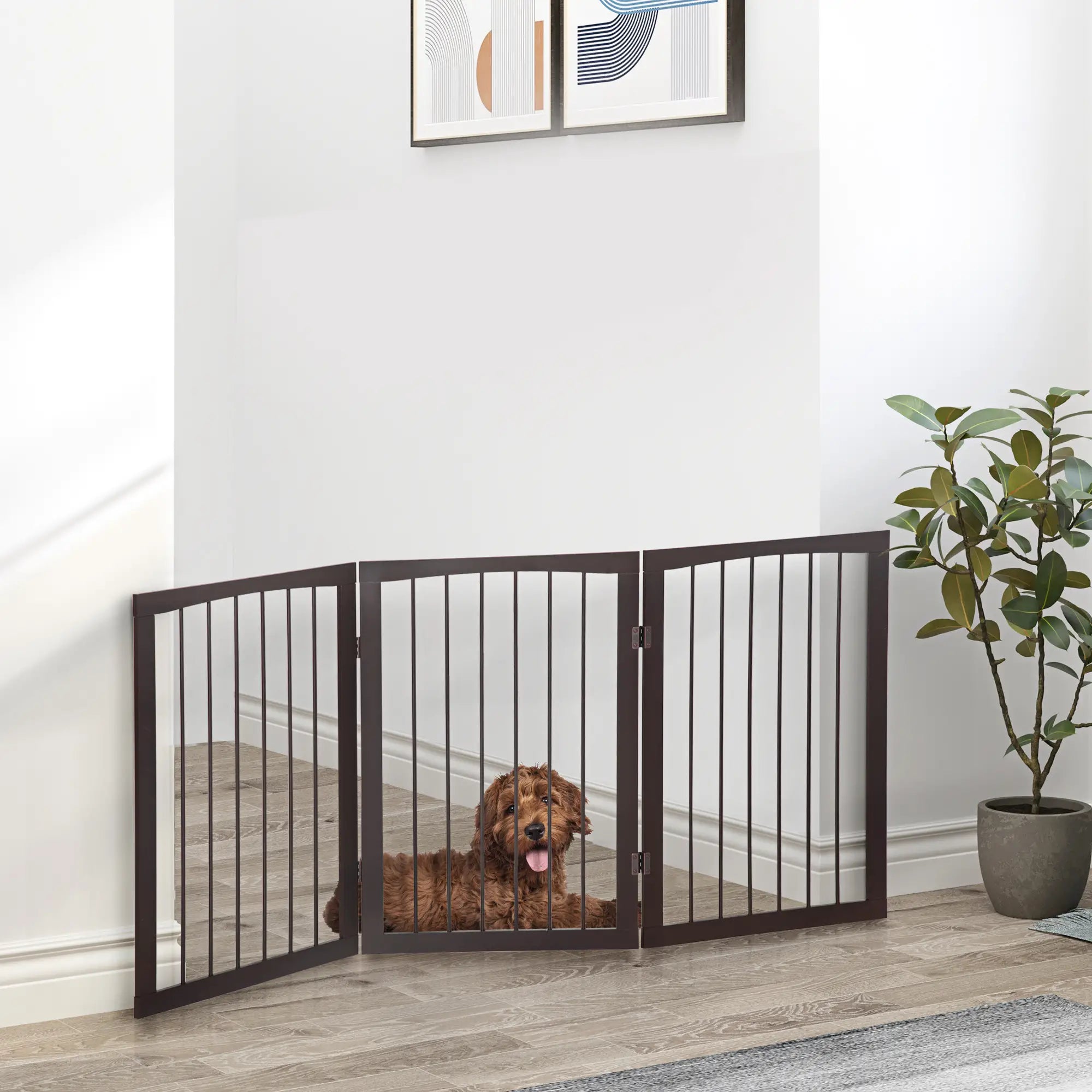 Dog Gates