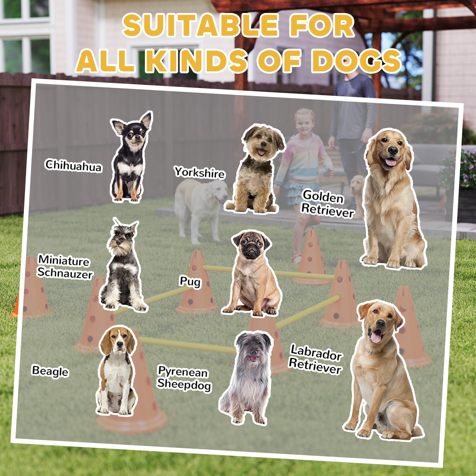 PawHut Dog Agility Equipment Set of Eight Cones, Eight Poles w/ Carry Bag, Four-Piece Adjustable Height Jumping Obstacles