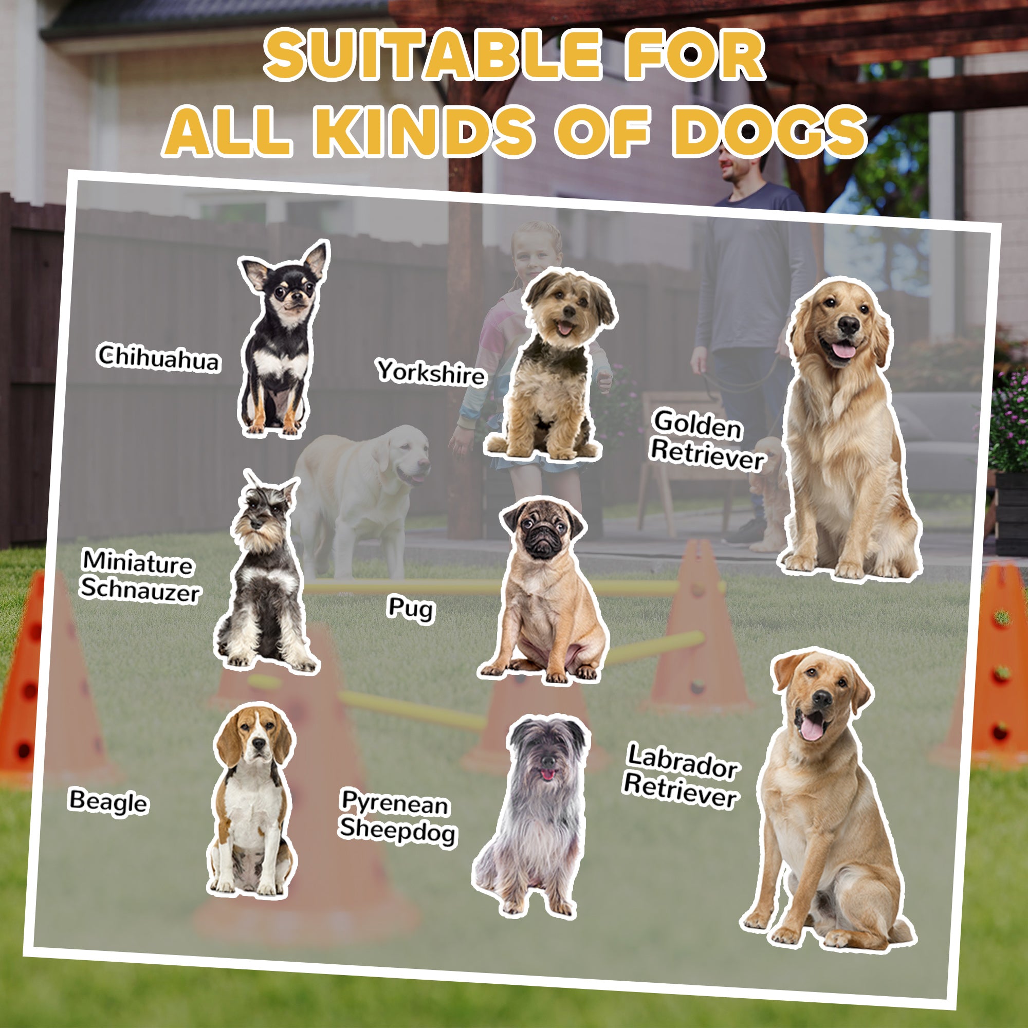 PawHut Dog Agility Equipment Set of 6 Cones, 6 Poles with Carry Bag, 3 PCS Adjustable Height Jumping Obstacles, Orange