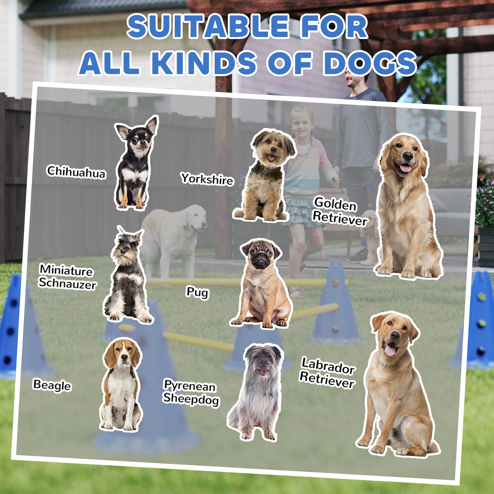 PawHut Dog Agility Equipment Set of Six Cones, Six Poles with Carry Bag, Three-Piece Adjustable Height Jumping Obstacles, Blue