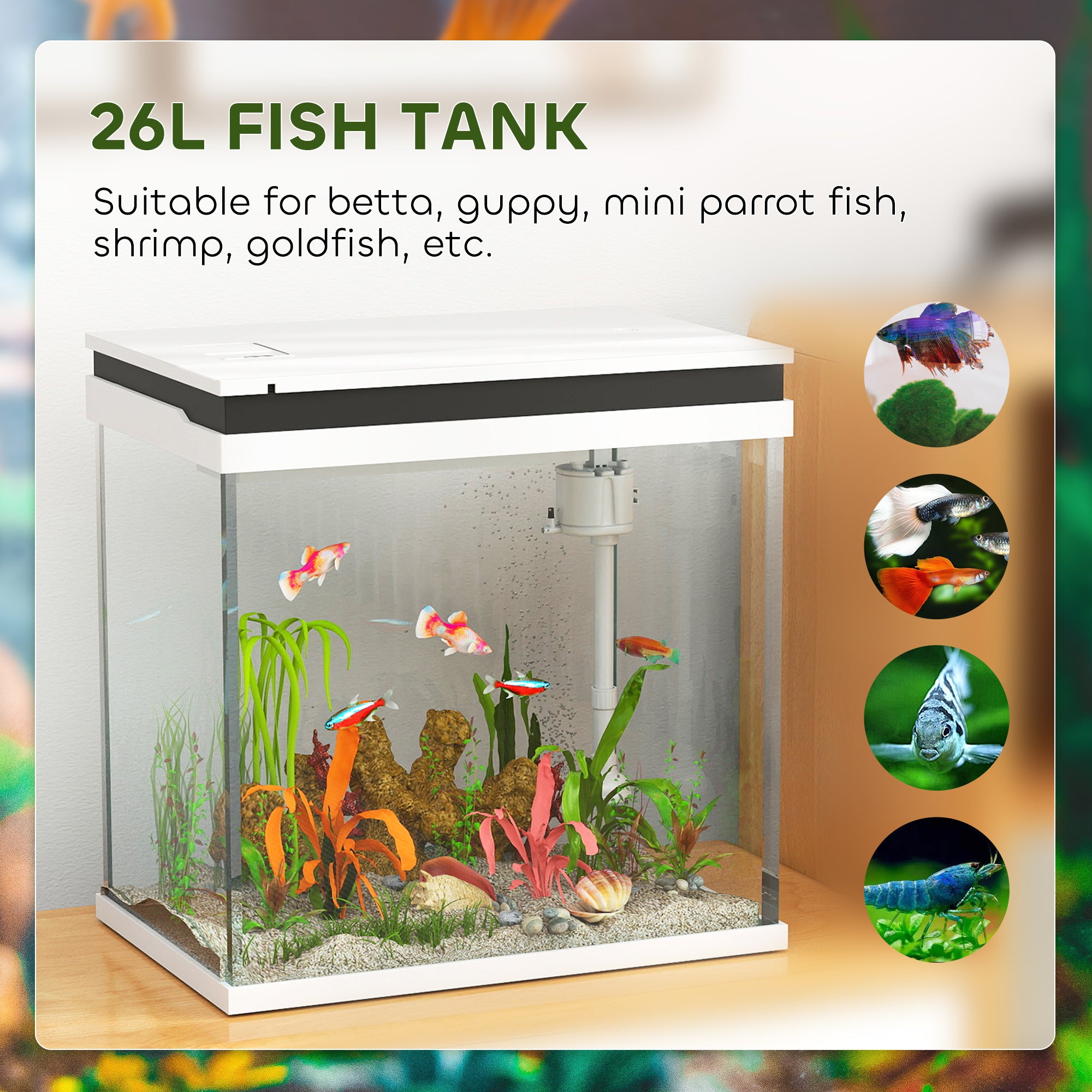 PawHut 26L Glass Fish Tank with Filter System, LED Lights, Water Pump, White