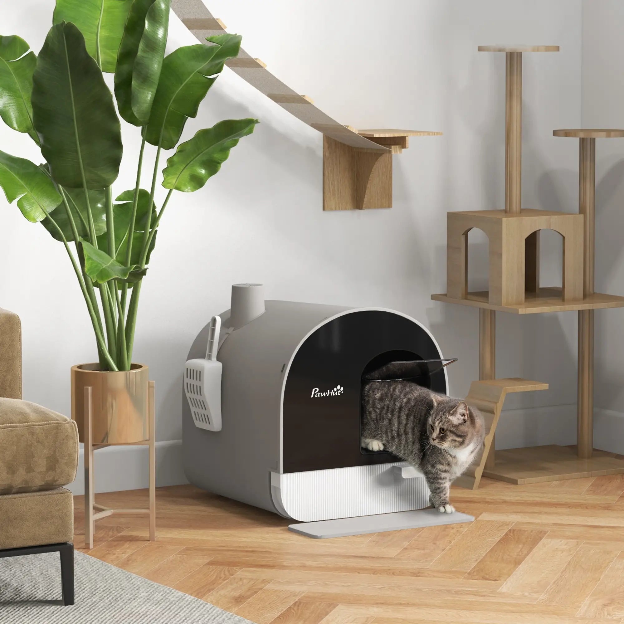 CAT SUPPLIES