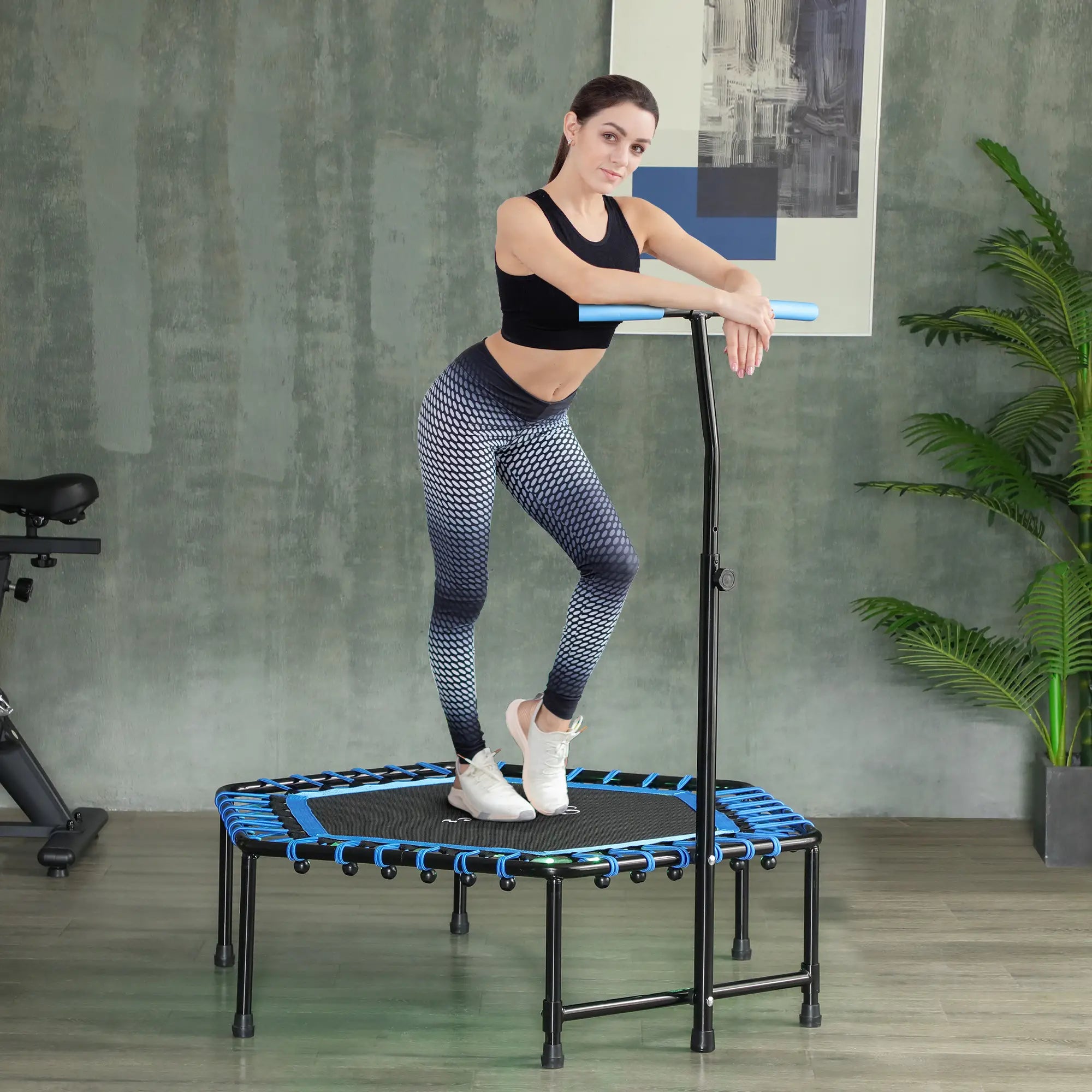 TRAMPOLINES & ACCESSORIES