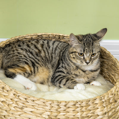 PawHut 72cm Cat Tree Kitten Tower, with Sisal Scratching Post, Two Beds, Toy Ball 