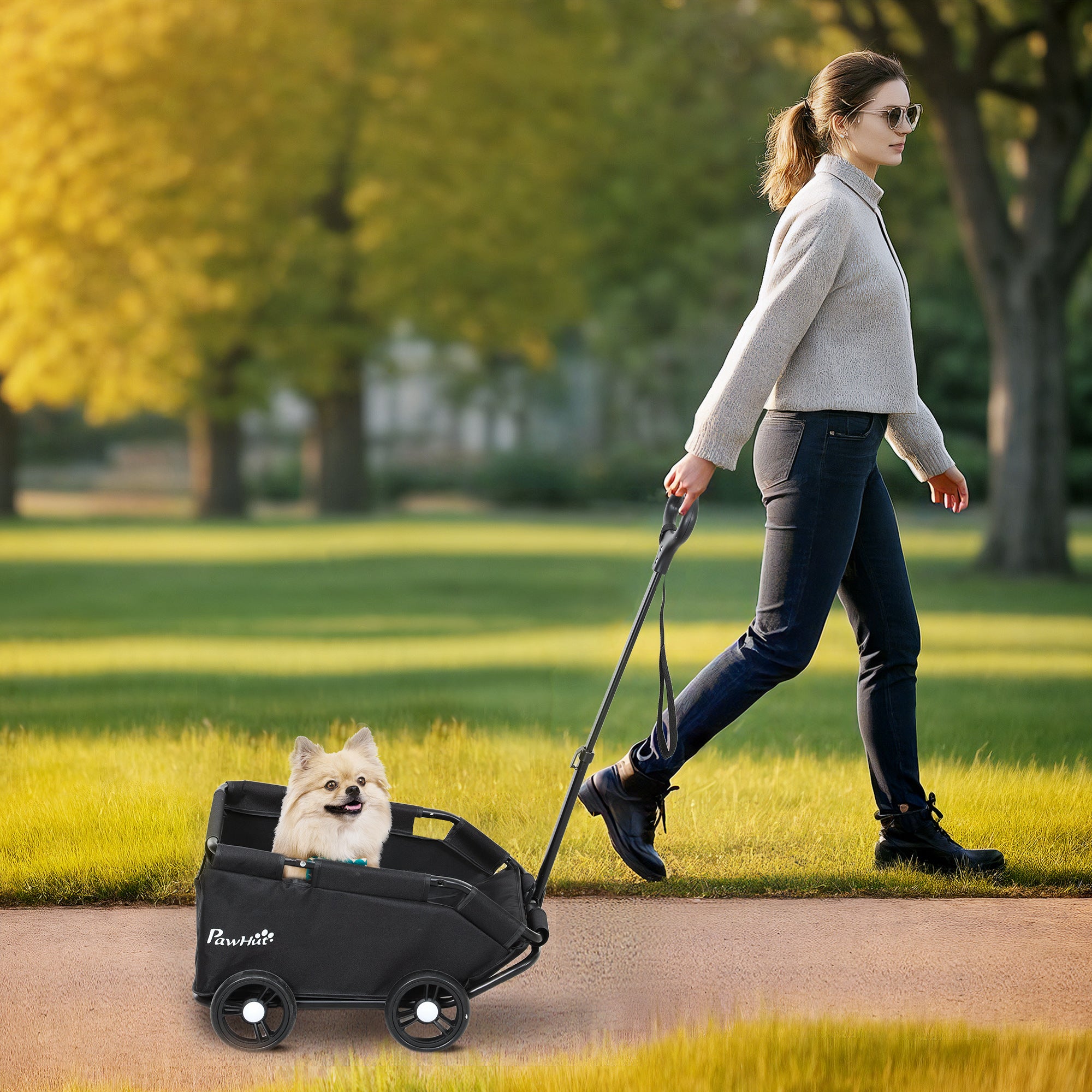 PawHut Pet Wagon Cart, Dog Stroller for Small Dogs and Cats with 4 Wheels, Safety Straps, Storage Bag, Mat 