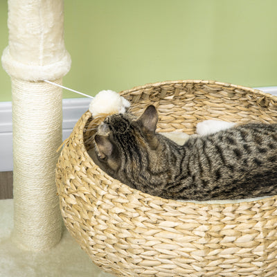 PawHut 72cm Cat Tree Kitten Tower, with Sisal Scratching Post, Two Beds, Toy Ball 
