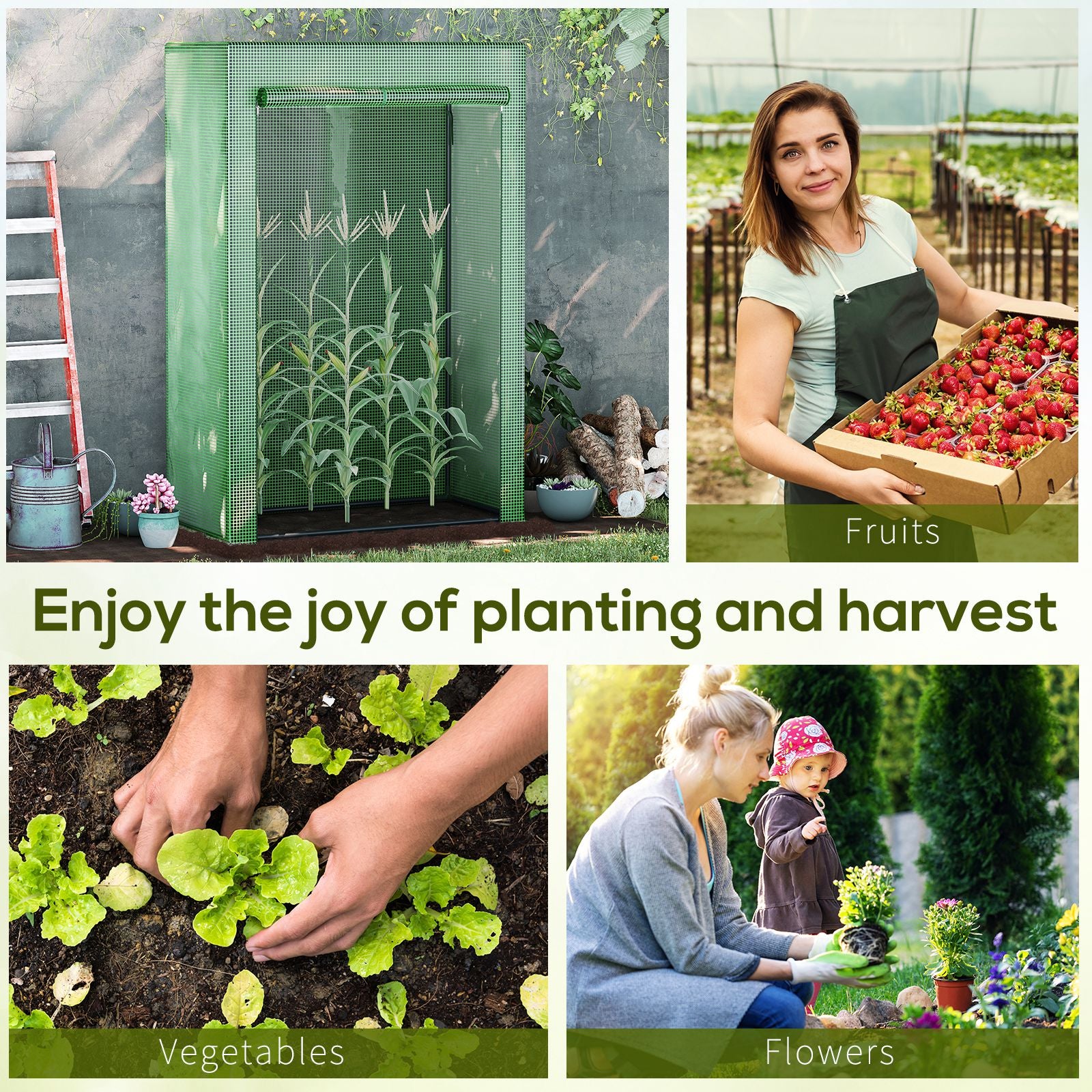 Outsunny Tomato Greenhouse with Roll-up Door, Mini Greenhouse with PE Cover, Outdoor Grow House Small Green House for Yard, Balcony, Garden, 100 x 50 x 150cm, Green 