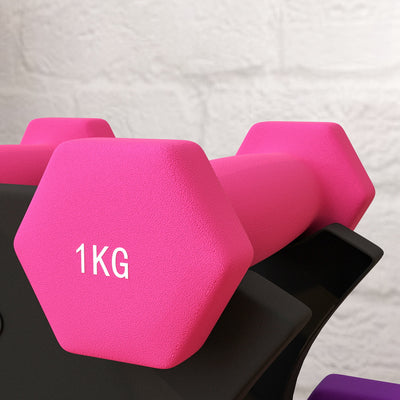 SPORTNOW 2 x 1kg, 2 x 2kg, 2 x 3kg Dumbbells Set with Dumbbell Rack, Hand Weights for Home Gym Training 