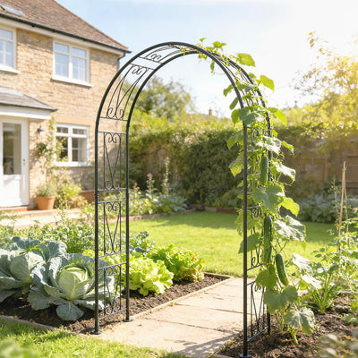 Outsunny Garden Arch, Arbour Trellis for Climbing Plants, Rose Arch for Wedding Garden Decoration, 155 x 40 x 246 cm, Black 