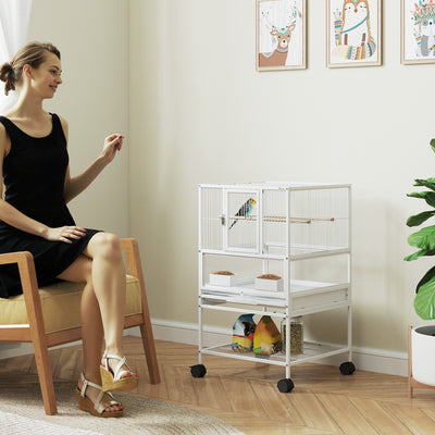 PawHut Bird Cage with Rolling Stand, Acrylic Viewing Panels, Storage Shelf, for Budgie, Parakeet, 48 x 46 x 83 cm 