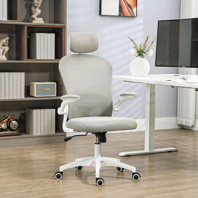 Vinsetto Multi-Adjustable Office Chair, with Lumbar Support, Headrest and Mesh Back - Grey 