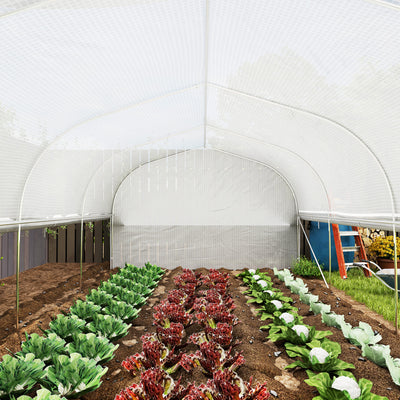 Outsunny 6 x 3 x 2m Walk-in Polytunnel Greenhouse, Zipped Roll Up Sidewalls, Mesh Door, 8 Mesh Windows, Tunnel Warm House Tent with PE Cover, Complimentary Plant Labels and Gloves, White 
