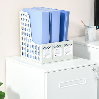 Vinsetto Metal Mobile File Cabinet with Wheels, Lockable 2 Drawer Filing Cabinet for A4, Legal, Letter, Compact Under Desk Storage Unit with Pre-Assembled Body for Home Office, 39 x 48 x 67cm, White 