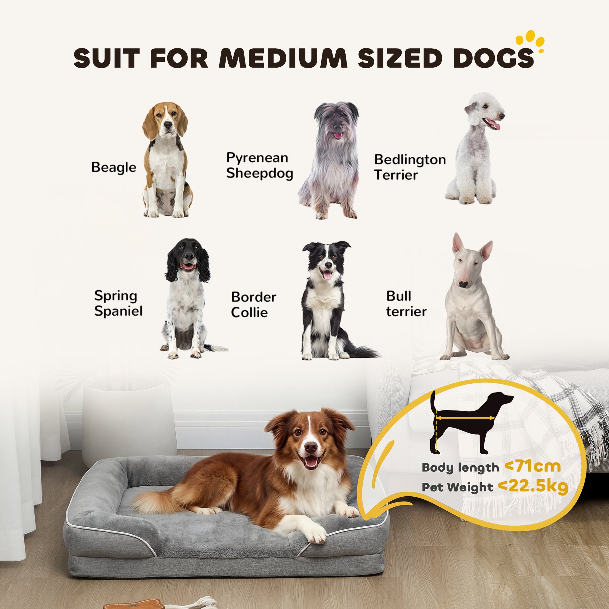 PawHut Dog Sofa Bed, Washable Pet Bed with Removable Cover and Non-Slip Bottom for Cats, Small and Medium Dogs, Grey 