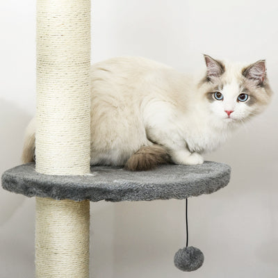 PawHut Floor to Ceiling Cat Tree for Indoor Cats, Kitten Tower, Condo, Multi-Layer Activity Center, Indoor Pet Play House with Solid Scratching Post Hanging Balls, Light Grey 