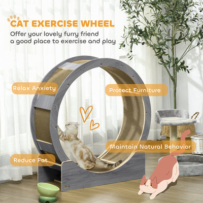 PawHut Cat Wheel with Brake, Scratching Pads - Grey 