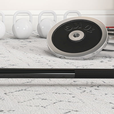 SPORTNOW 210cm Olympic Barbell Bar for 5cm Weight Plates, with Spring Clips, 20kg 