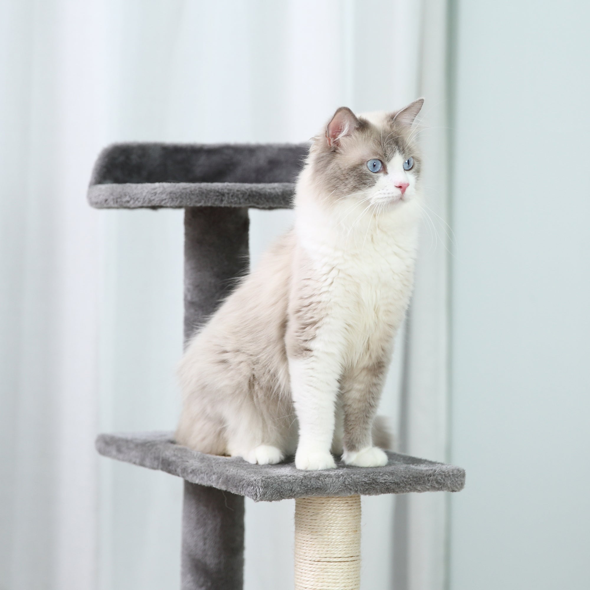 PawHut 100 cm Cat Tree for Indoor Cats Kitten Scratch Scratching Post Climbing Tower Activity Centre Grey 