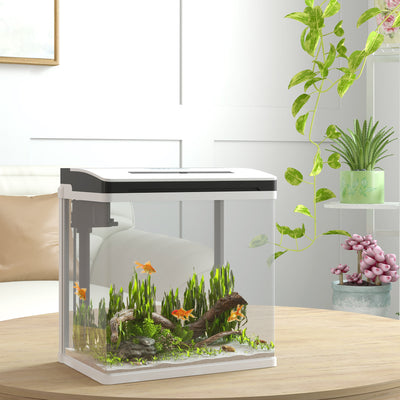 PawHut 13L Glass Aquarium Fish Tank with Filter, LED Lighting, for Betta, Guppy, Mini Parrot Fish, Shrimp, 29 x 20 x 30.5cm 