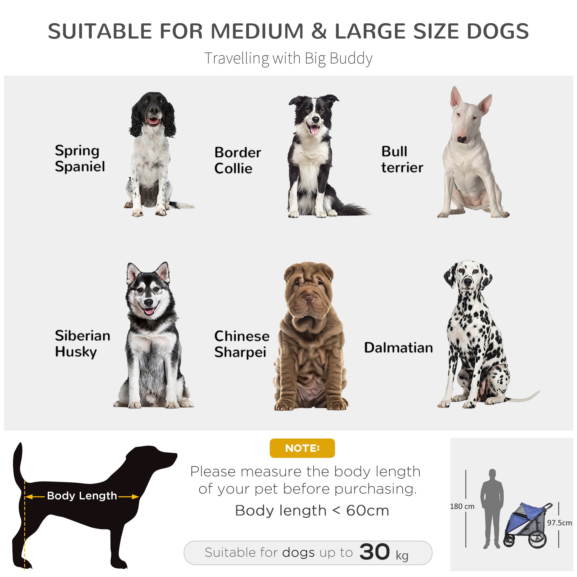 PawHut Foldable Pet Stroller, with Washable Cushion, Storage Bags, Safety Leash, for Medium, Large Dogs, Cats - Blue 