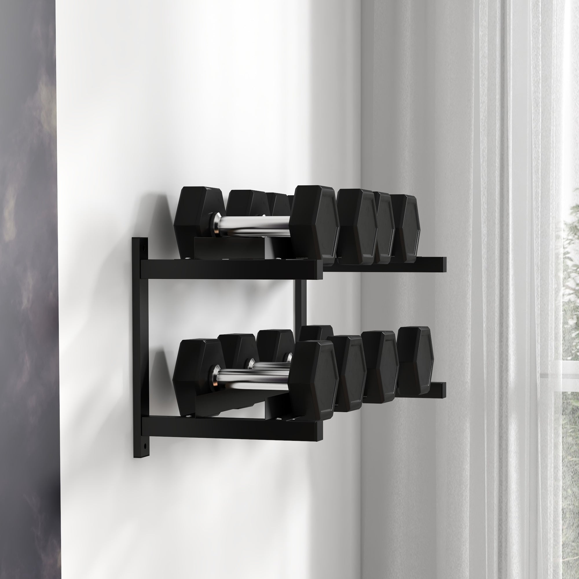 SPORTNOW Wall-Mounted Dumbbell Rack, 2-Tier Weight Stand, Space-Saving and Multi-Functional Steel organiser for Home Gym, Black 