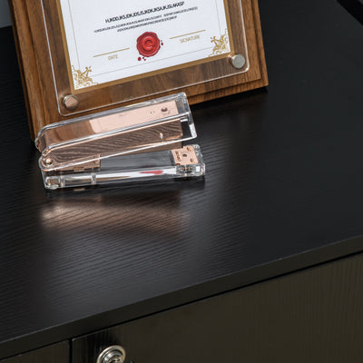 Vinsetto Two-Tier Locking Office Storage Cabinet - Black 
