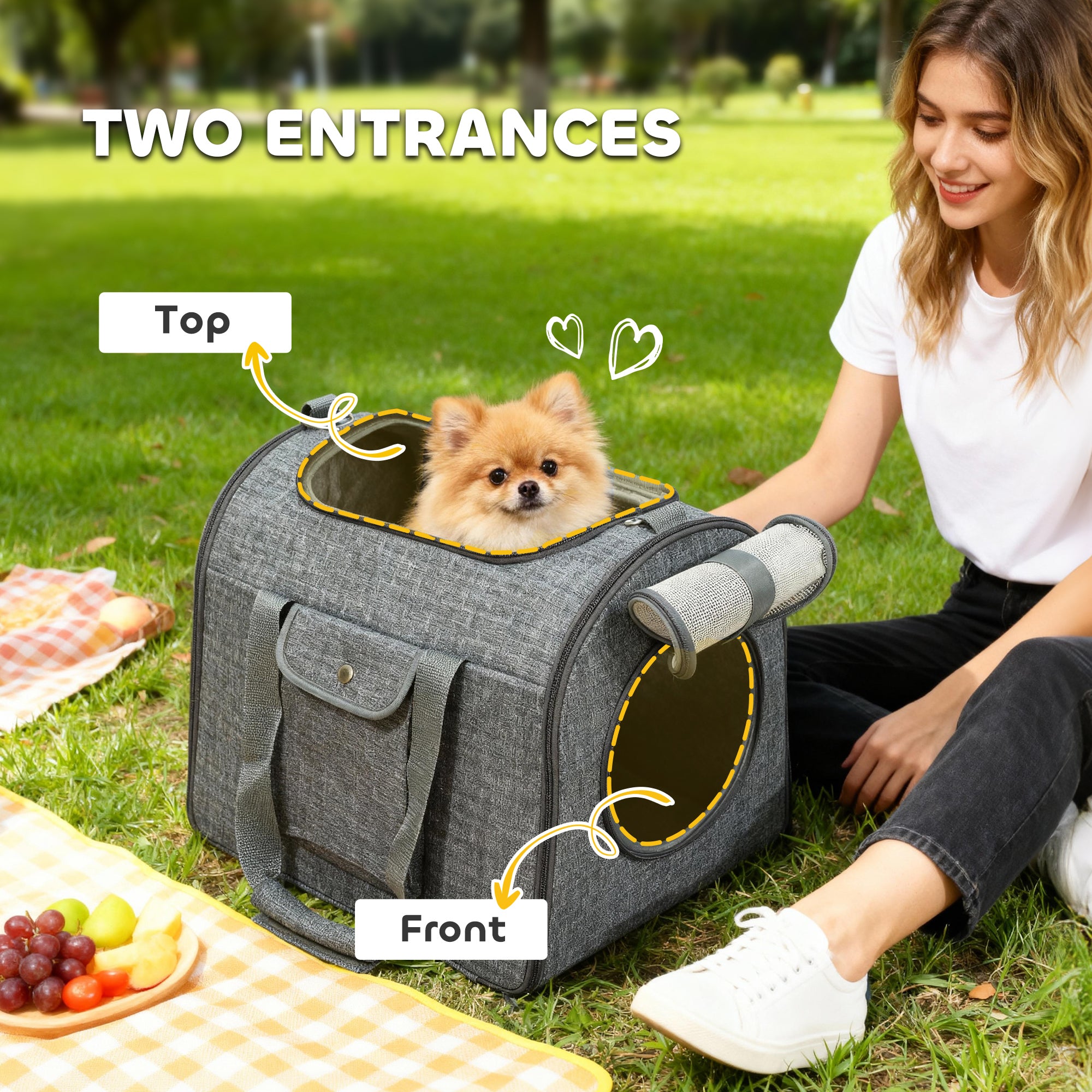 PawHut Soft Sided Cat Carrier Bag, Portable Foldable Pet Carrier with Shoulder Strap & Removable Mat for Small Pet Up to 10kg 