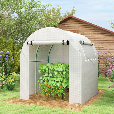 Outsunny Walk in Polytunnel Greenhouse, Green House for Garden with Roll-up Window and Door, 1.8 x 1.8 x 2 m, White 