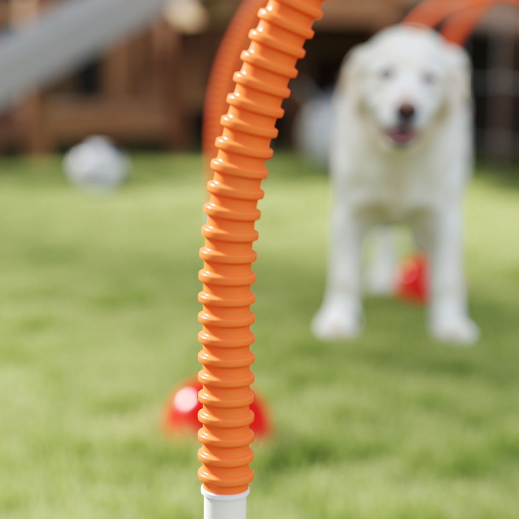PawHut 4 Piece Dog Agility Training Equipment with 4 Adjustable Width Doors, Carry Bag, for Garden, Orange 