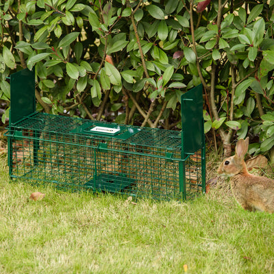 Outsunny Animal Trap Cage, Humane Rat Trap with Double Doors, Squirrel Trap for Indoors & Outdoors, Catch and Release Mice, Rats, Rodents, 60 x 18 x 20 cm, Green 