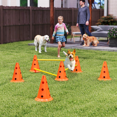 PawHut Dog Agility Equipment Set of 6 Cones, 6 Poles with Carry Bag, 3 PCS Adjustable Height Jumping Obstacles, Orange 