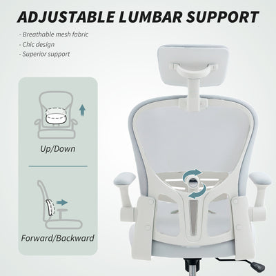 Vinsetto Multi-Adjustable Office Chair, with Lumbar Support, Headrest and Mesh Back - White 