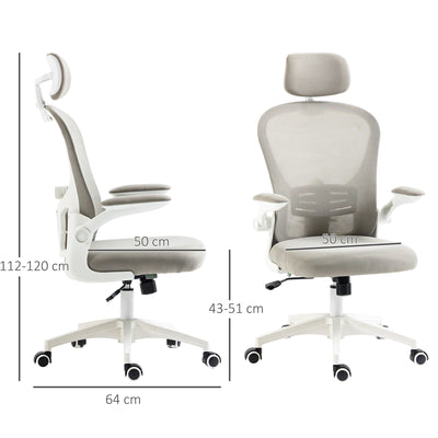 Vinsetto Multi-Adjustable Office Chair, with Lumbar Support, Headrest and Mesh Back - Grey 