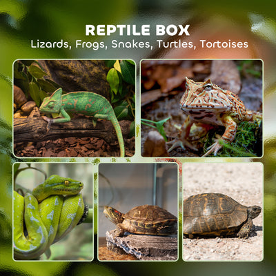 PawHut 12L Vivarium for Lizards, Frogs, Snakes, Turtles, Tortoises w/ Anti-Escape Design, Ventilation 