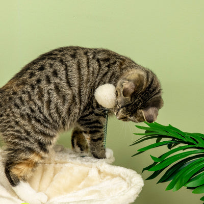 PawHut Cat Tree, with Scratching Posts, Hammock, Toy Ball - Beige 