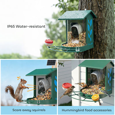 PawHut Smart Bird Feeder Camera 2K HD with AI Identifies 16,000+ Species, 2K HD Auto Capture Video, APP Instant Notifications 