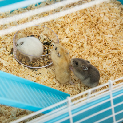 PawHut Hamster Cage w/ Water Bottle, Exercise Wheel, Tubes, Ramps - Light Blue 