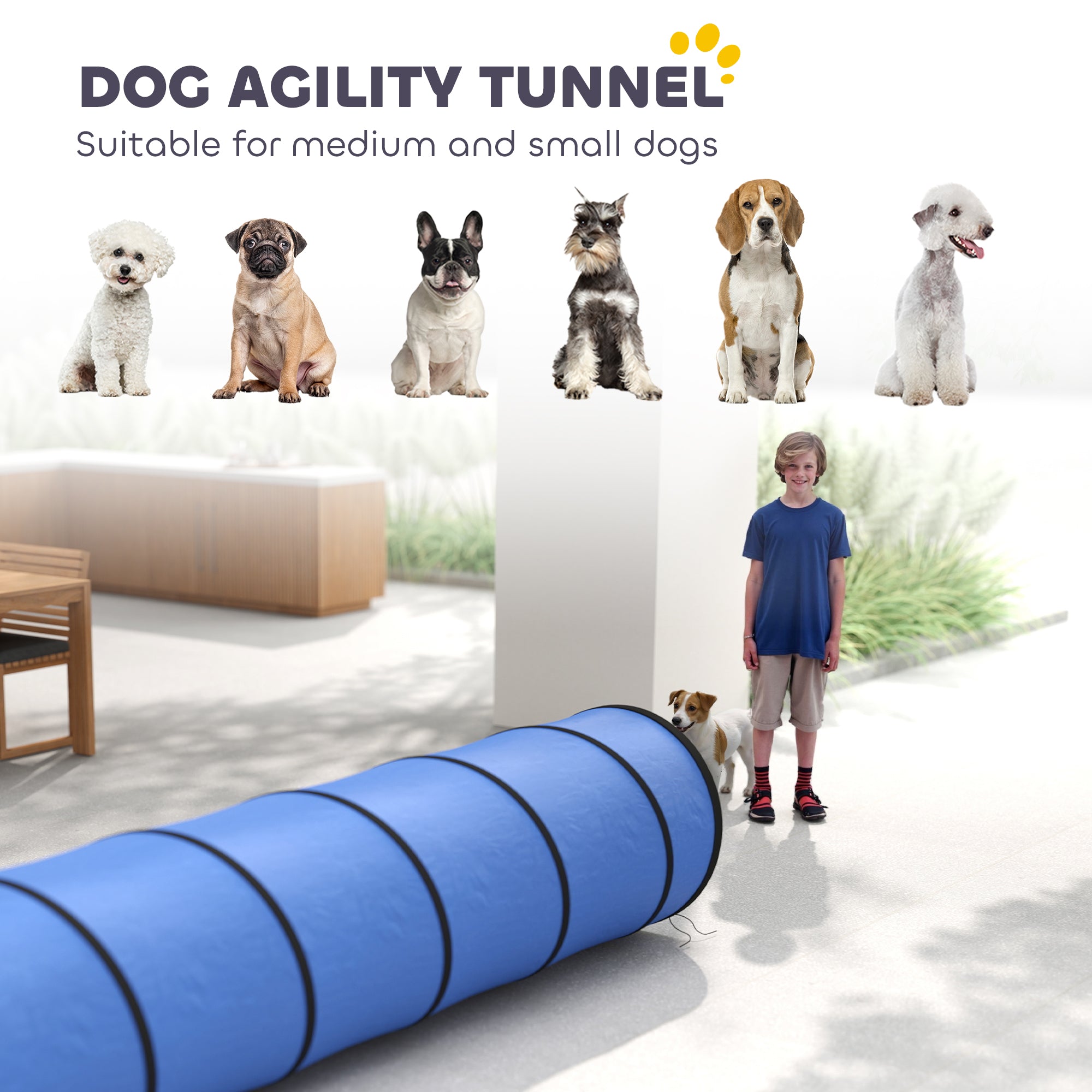 PawHut Dog Tunnel, 300 x 50 cm, Foldable Play Tunnel with 4 Pegs and Bag, Tear-Resistant Outdoor Dog Agility Equipment, Blue 