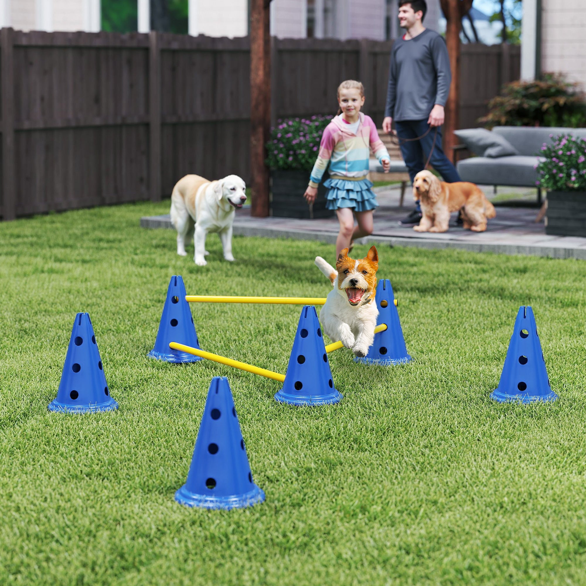PawHut Dog Agility Equipment Set of Six Cones, Six Poles with Carry Bag, Three-Piece Adjustable Height Jumping Obstacles, Blue