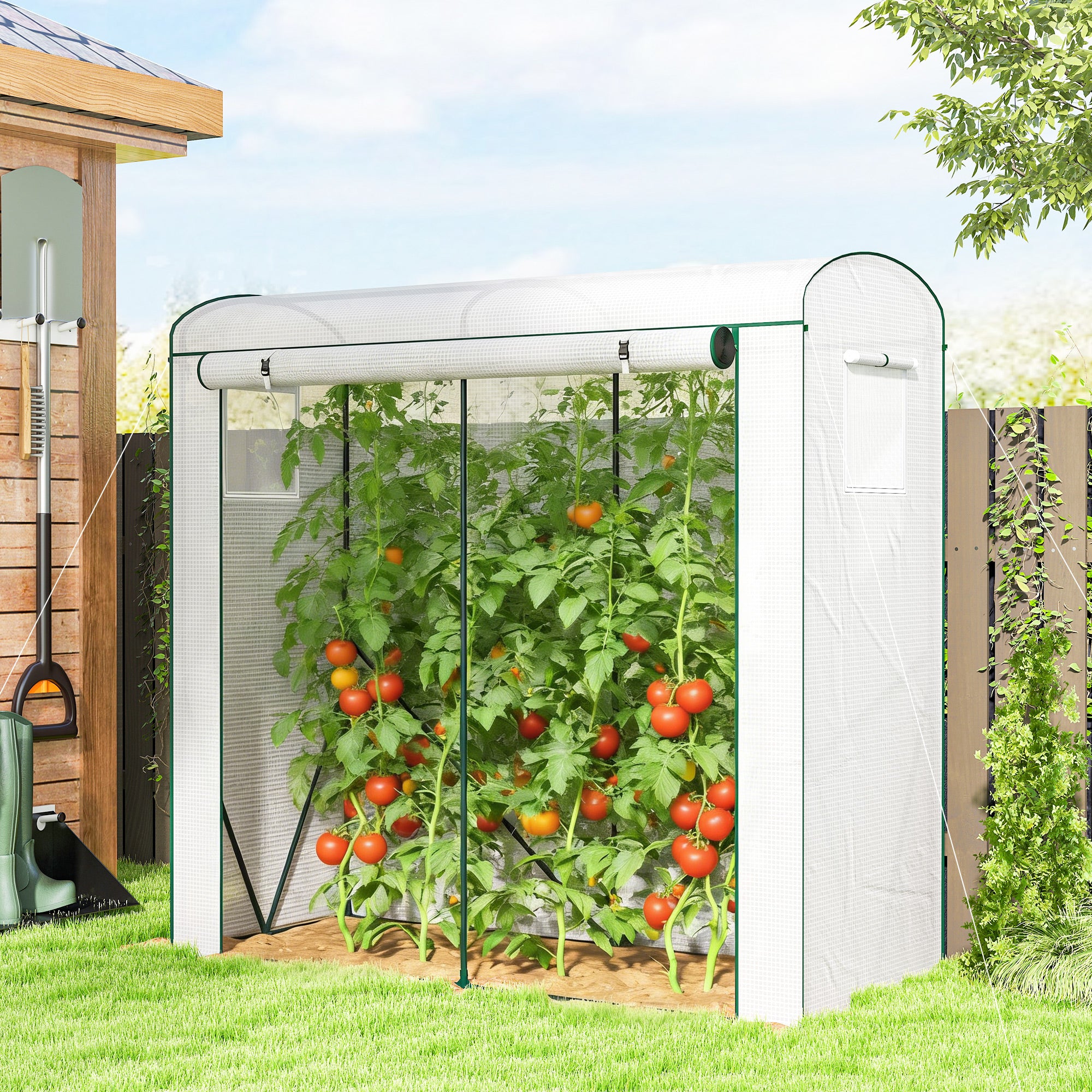 Outsunny Mini Greenhouse, Garden Tomato Growhouse with Roll-Up Door and 2 Mesh Windows, PE Cover, 200 x 75 x 188 cm, White 