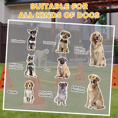 PawHut Dog Agility Equipment Set of 6 Cones, 6 Poles with Carry Bag, 3 PCS Adjustable Height Jumping Obstacles, Orange 