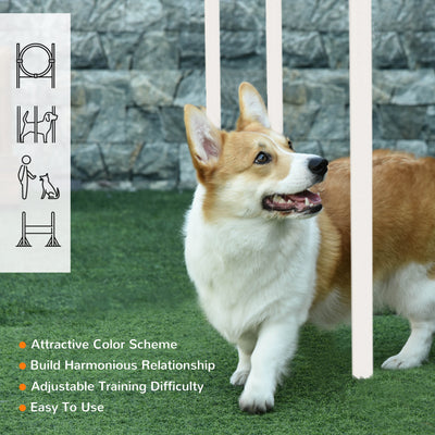 PawHut Dog Agility Training Equipment for Dogs with Carry Bag - Multicoloured 