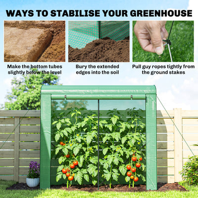 Outsunny Mini Greenhouse, Garden Tomato Growhouse with Roll-Up Door and 2 Mesh Windows, PE Cover, 200 x 75 x 188 cm, Green 