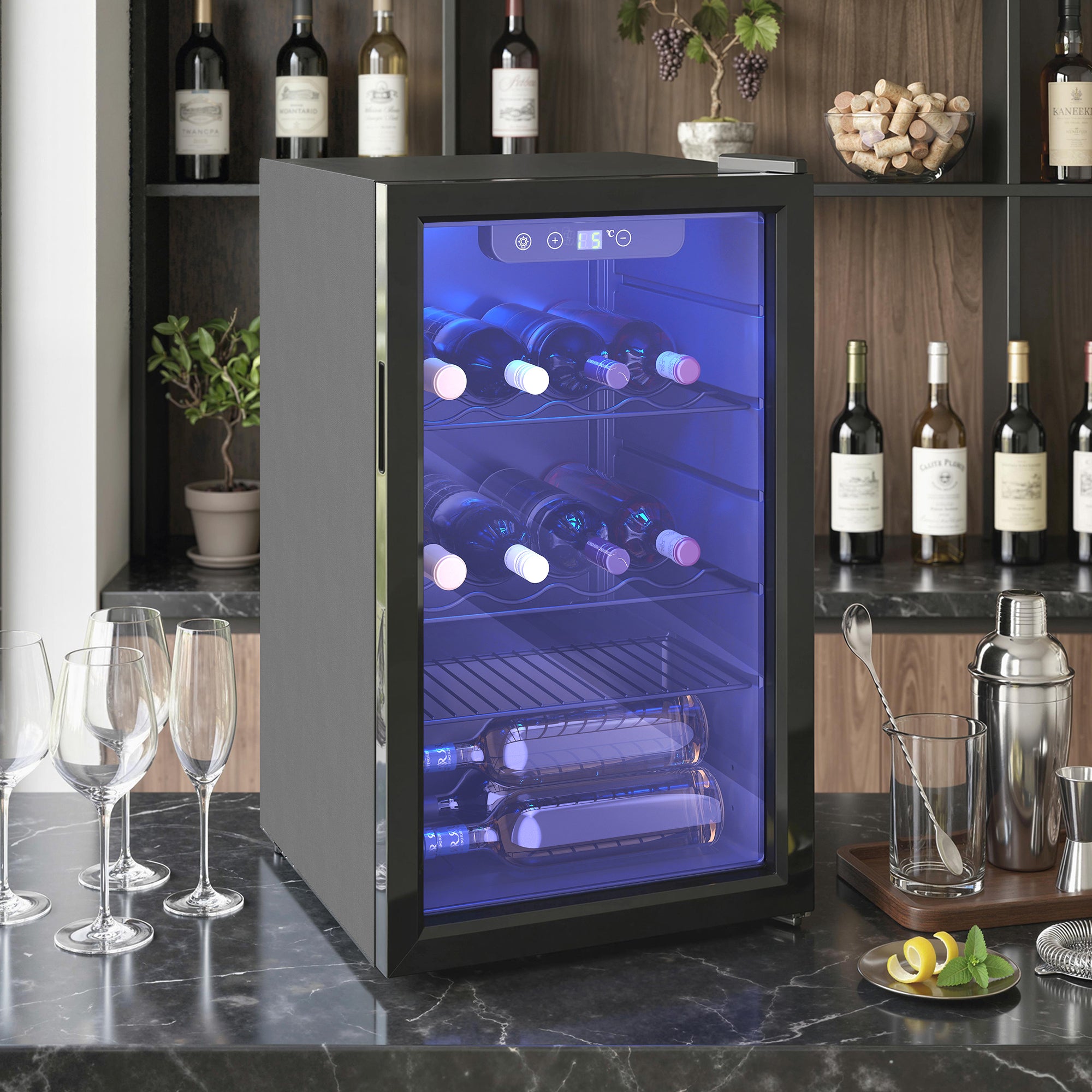 HOMCOM 24 Bottle Wine Cooler, 68 Litre Capacity, 4-16°C Freestanding Drinks Beer Wine Fridge with Glass Door, Black 