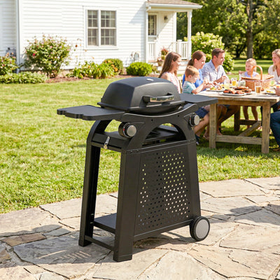Outsunny 2 Burner Gas Grill with 2 Side Tables, 3.8 KW Barbecue Grill with Cast Iron Grates, 2-in-1 Tabletop BBQ with Wheels 