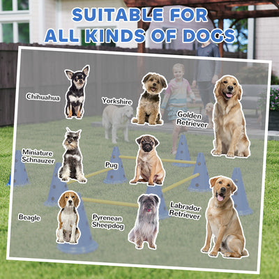 PawHut Dog Agility Equipment Set of Eight Cones, Eight Poles w/ Carry Bag, Four-Piece Adjustable Height Jumping Obstacles Blue 