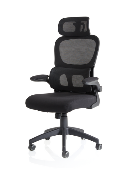 Iris Task Operator Mesh Back Fabric Seat With Headrest