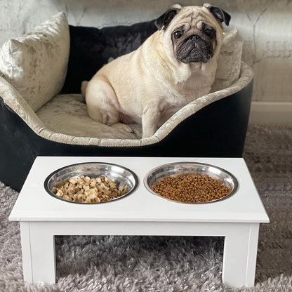 PawHut Raised Dog Feeding Bowls with Stand, Stainless Steel for  Extra Small and Small Dog, 44L x 24W x 15H cm - White 