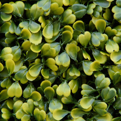 Outsunny 12PCS Artificial Boxwood Wall Panels 50cm x 50cm Grass Privacy Fence Screen Faux Hedge Greenery Backdrop Encrypted Milan Grass for Home Garden Backyard Balcony 