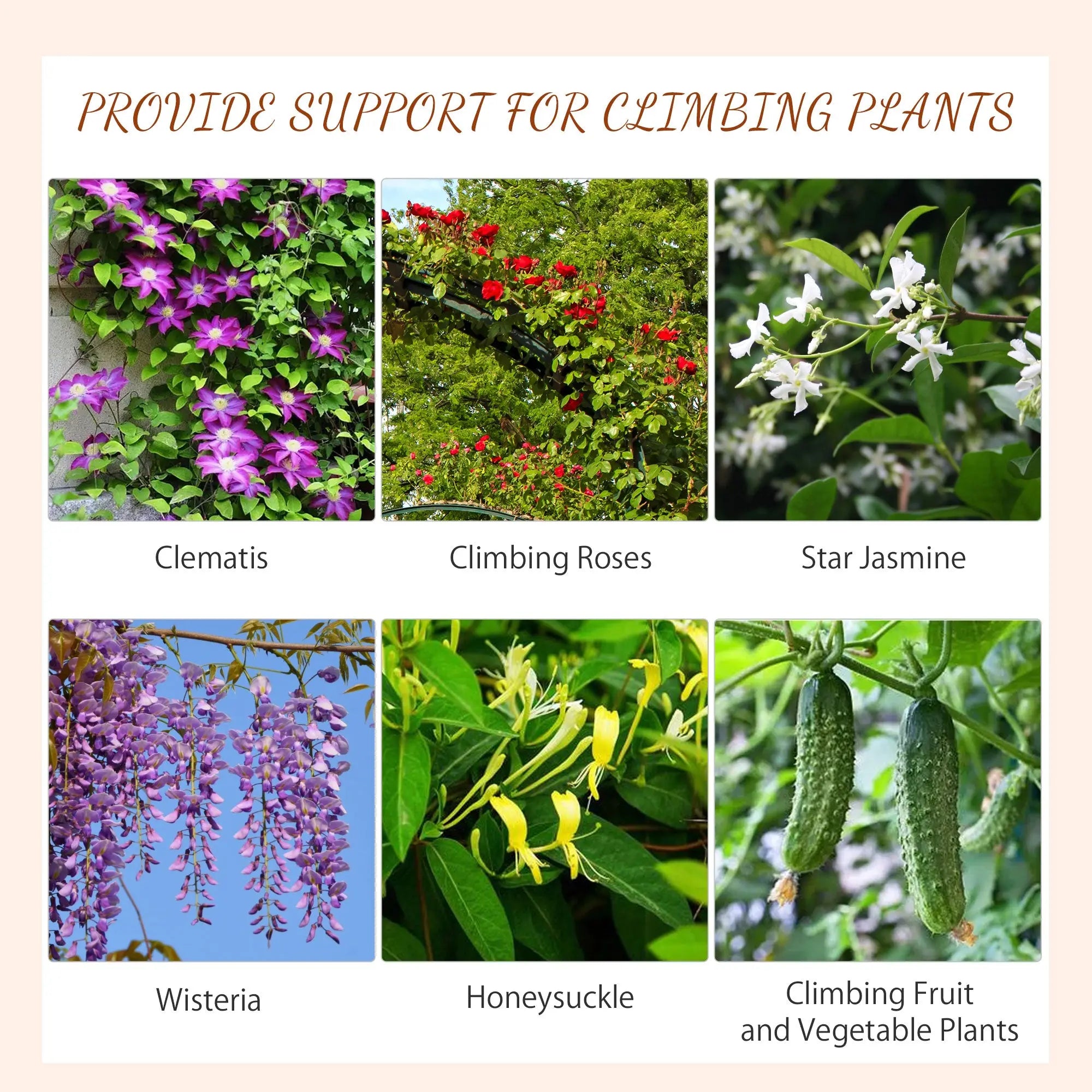 Outsunny Metal Trellis Set of 2, Garden Trellis for Climbing Plants Support Frames, Scrolls Design 